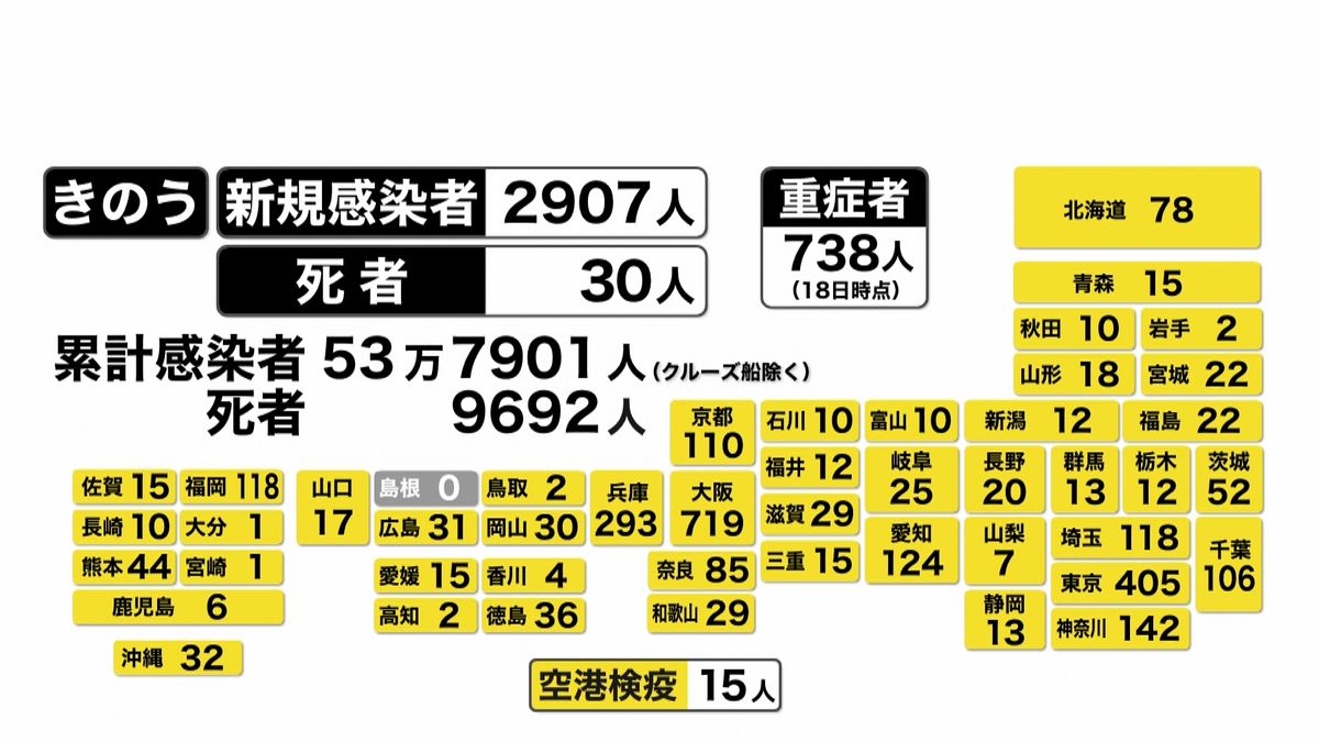 全国で２９０７人感染確認　死者は３０人