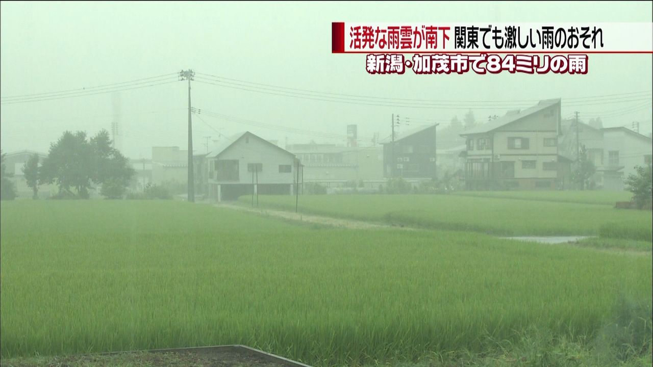 雨雲が南下　新潟・加茂市で８４ミリの雨