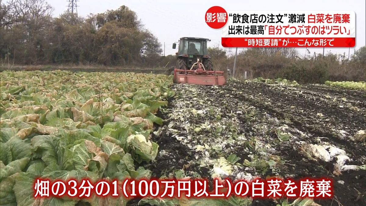 つらい…出来は最高の野菜廃棄　時短影響で