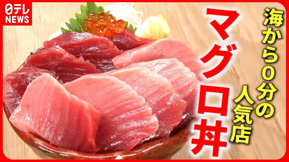 【鮮度抜群！】マグロ丼＆刺身定食＆アジフライ！海から０分の人気店『every.特集』