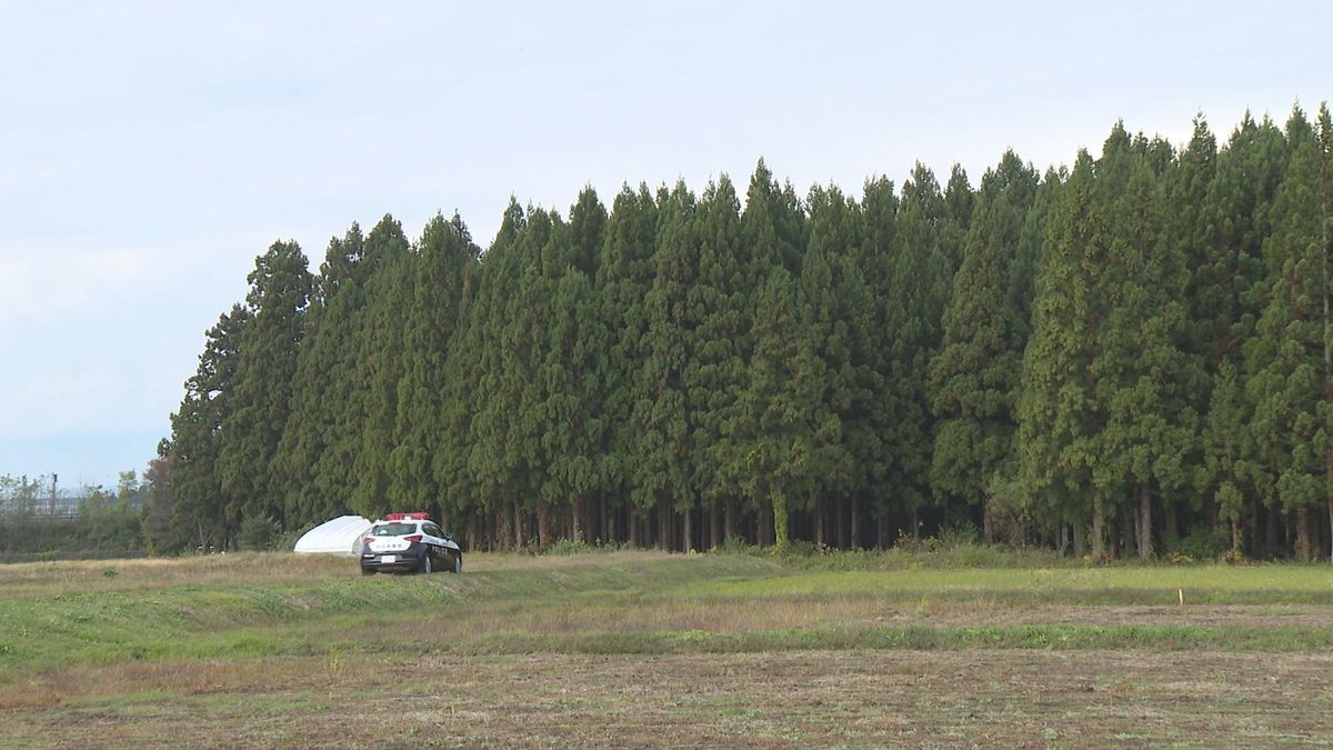 大館市　クマに襲われ男性（80）けが