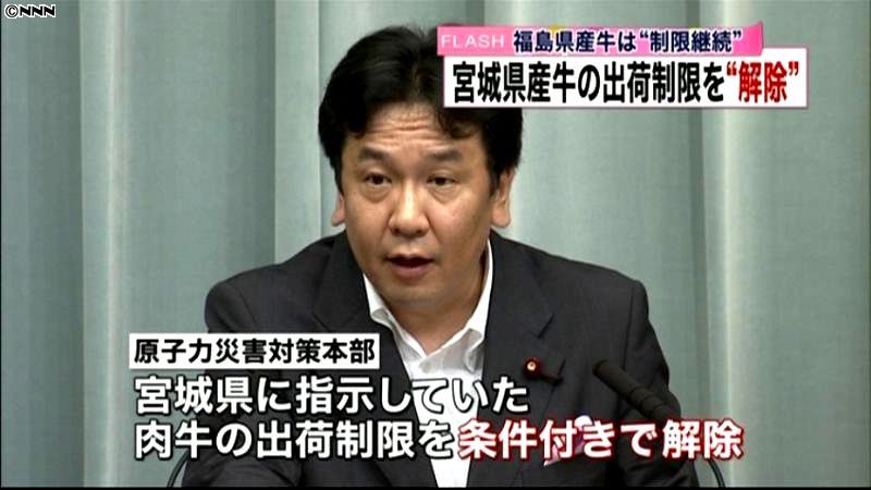 宮城県の肉牛、条件付きで出荷制限を解除