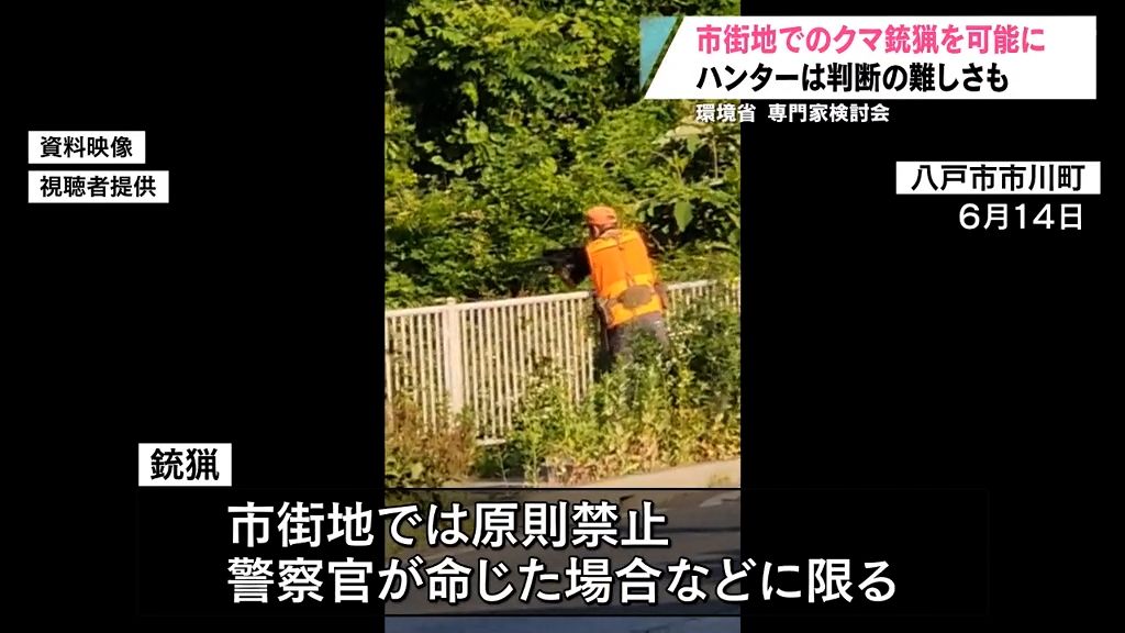 環境省の専門家検討会が市街地での銃による捕獲を条件付きで可能とする対応方針をまとめる