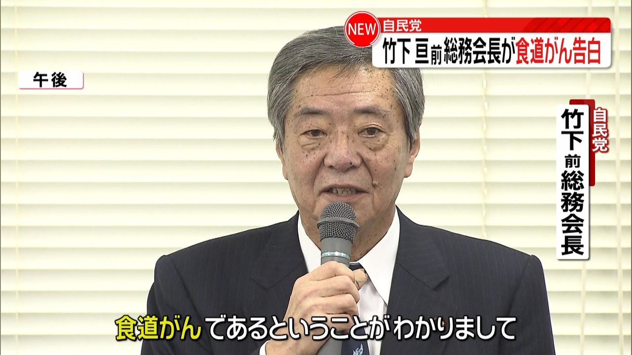 省スペース 洗える おしゃれ 自由民主党総務会長 竹下亘 衆議院議員