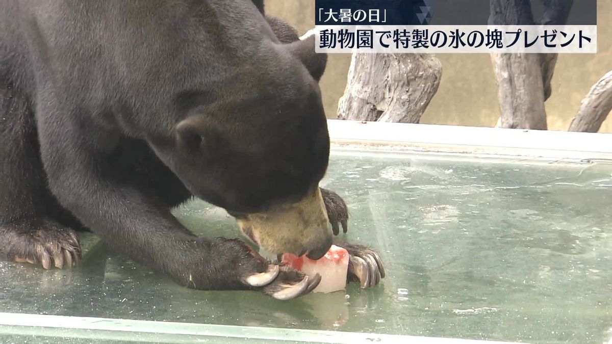 「大暑の日」動物たちに氷の塊をプレゼント　福岡市動物園