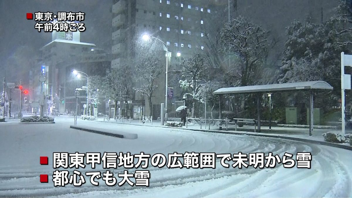 東京都心で大雪　交通機関の乱れに警戒を