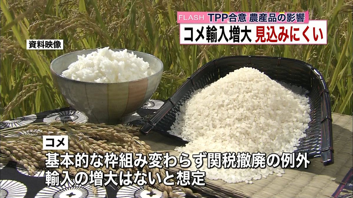 ＴＰＰ影響分析　コメ輸入増大ないと想定