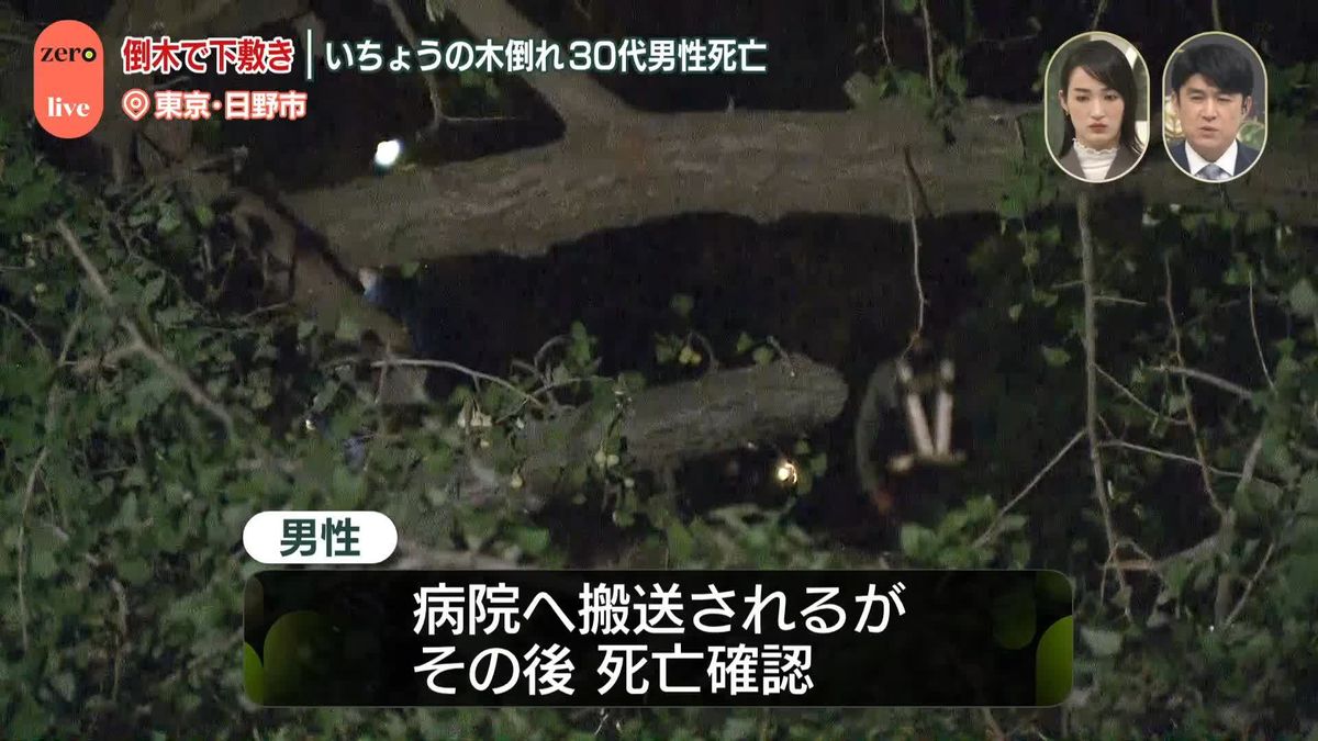 いちょうの木が倒れ下敷きに…30代男性死亡　東京・日野市