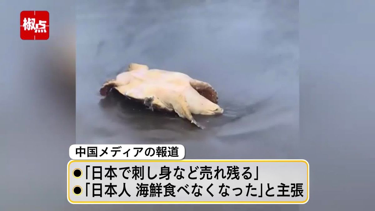 中国　なぜか“死んだ亀”から始まる映像で「処理水」報道、“切り取り”で日本人も海鮮食べなくなったと…放出から1週間以上、北京の人々は今