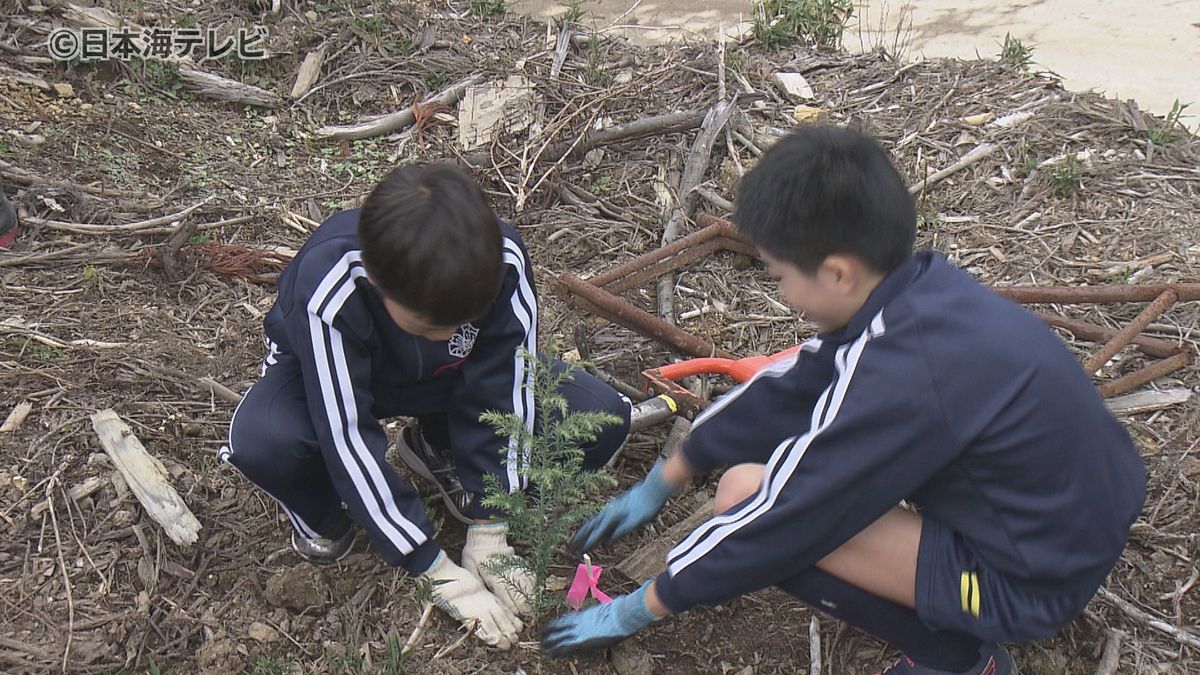 児童がスギの植林体験　小学校での出前授業で子どもたちに森林の役割を伝える　鳥取県鳥取市