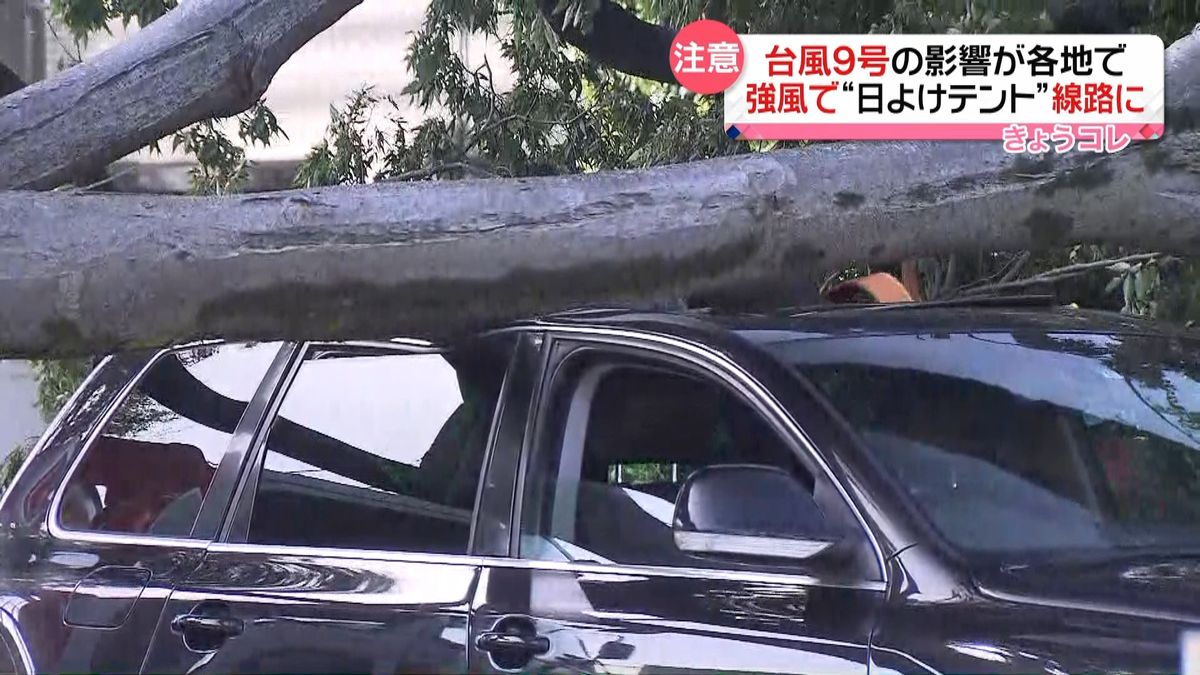 台風９号　都内各地で“強風”の被害が…