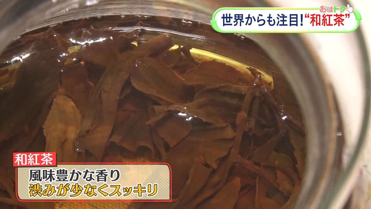 日本発！　注目のお茶“和紅茶”　世界の頂点に輝いた和紅茶も…　米澤かおりキャスターが取材！