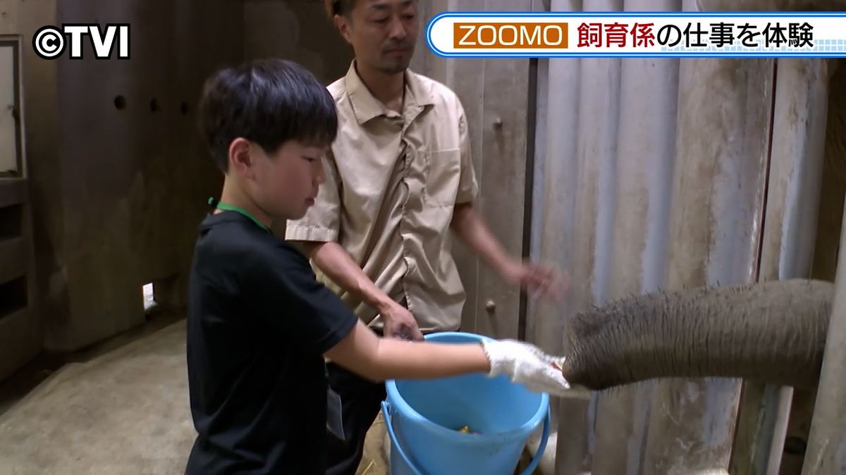 【人気】夏休みの子どもたちが動物園で一日飼育係　ゾウやキリンのお世話を体験　岩手・盛岡市動物公園ZOOMO　