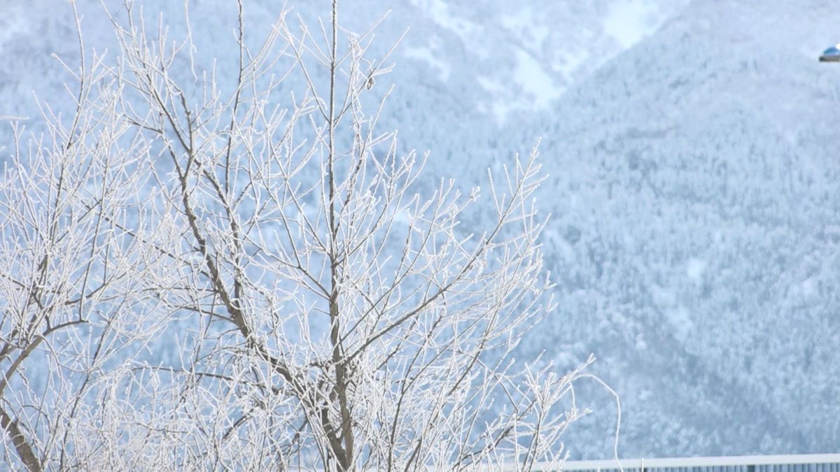 大野市では美しい霧氷も 寒波が過ぎた後の県内は今シーズン一番の冷え込みに 　