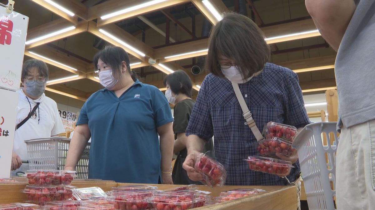 東根市のサクランボの産直施設　開店前に行列　「双子果」も安くして提供　「購入希望の方は早めに」