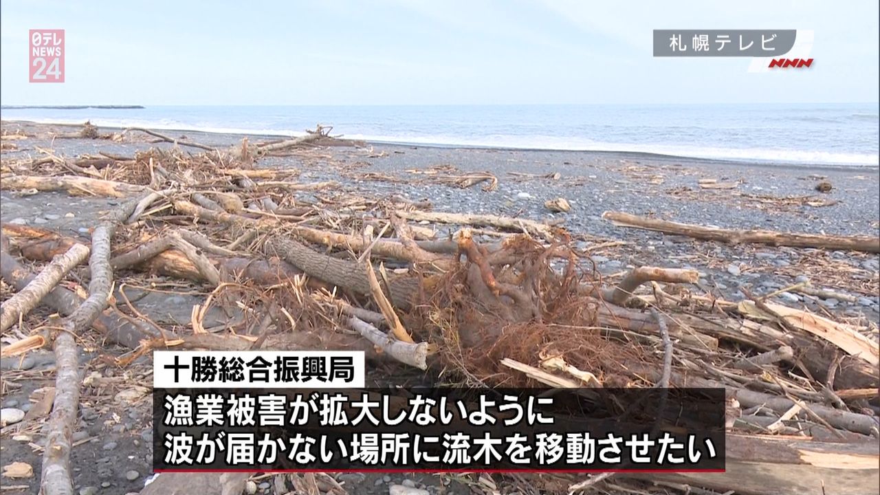 台風１８号で大量の流木…秋サケ漁に影響も（2017年9月20日掲載）｜日テレNEWS NNN