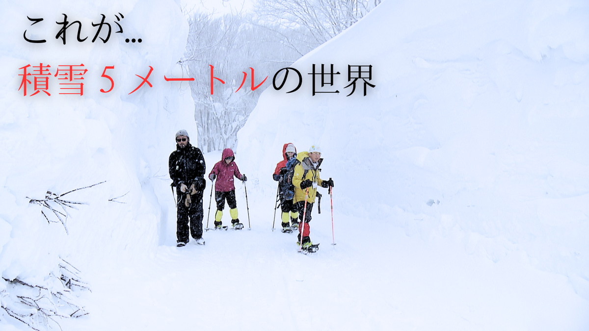 【日本一】積雪5メートルってどんな世界？酸ヶ湯の“豪雪体験ツアー”に同行！木も街灯も全てが埋まる景色に感動　青森県青森市