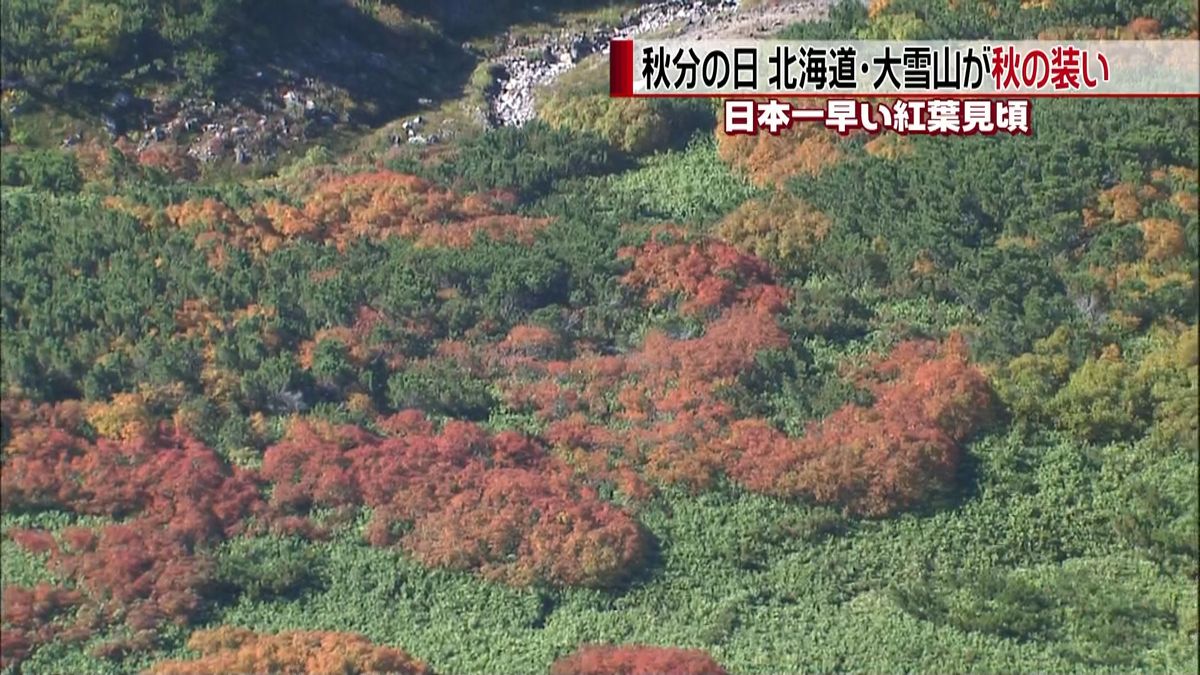 北海道・大雪山が秋の装い　紅葉が見頃に
