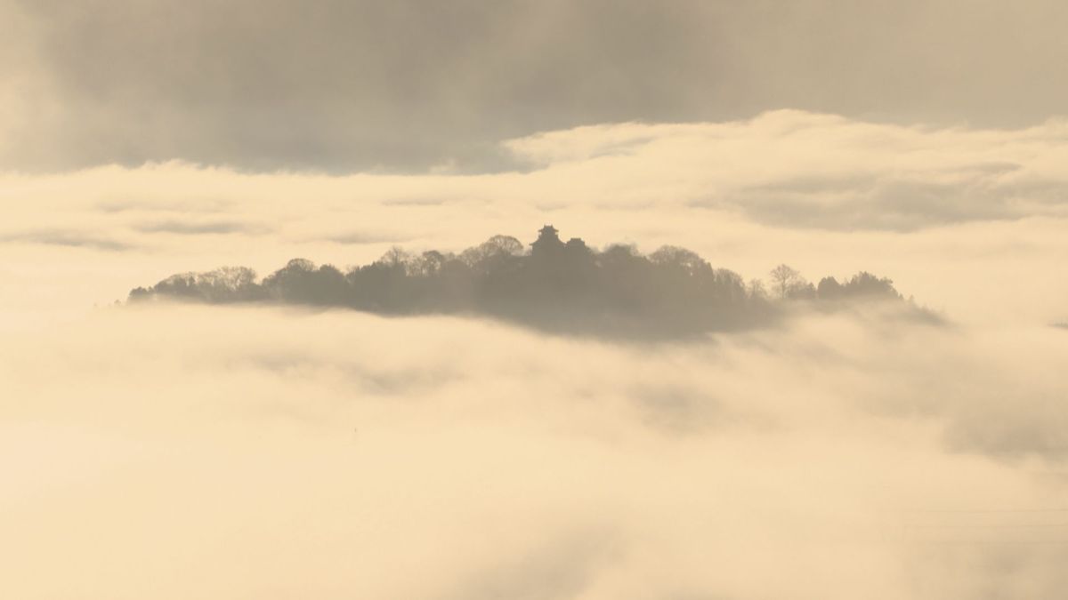 絶景！雲海に浮かぶ「天空の城」 お目にかかれるのは年に10回程度 福井県大野市･越前大野城