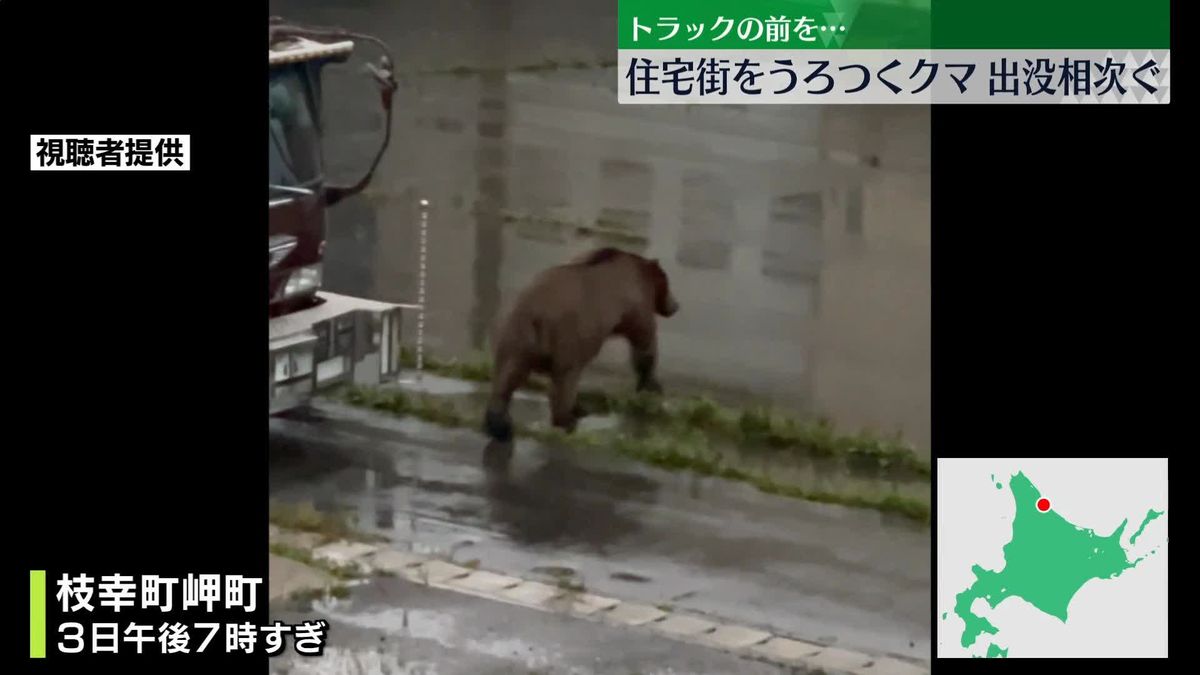 北海道・枝幸町でクマの出没相次ぐ　住宅街うろつく