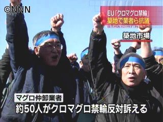 築地でクロマグロ国際取引禁止の反対訴え