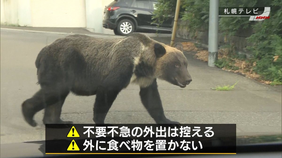 住宅街にクマ出没　ハンター出動　札幌市