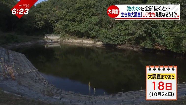 水が溜まった状態の三島谷池