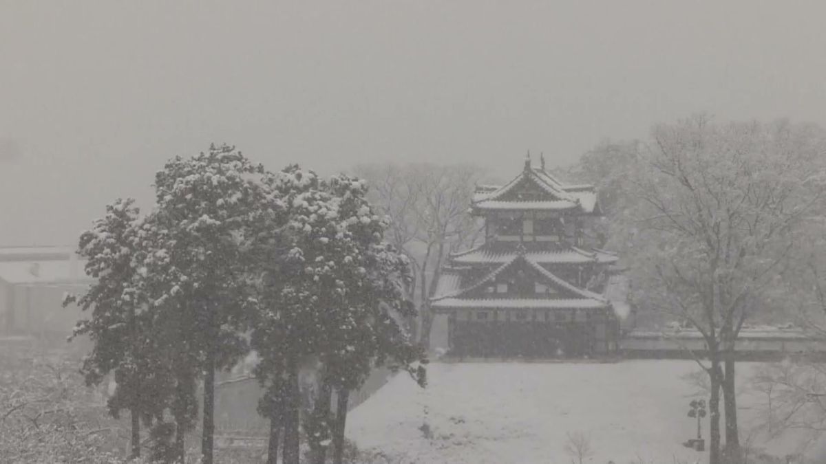 【速報】上越に大雪警報を発表　《新潟》　