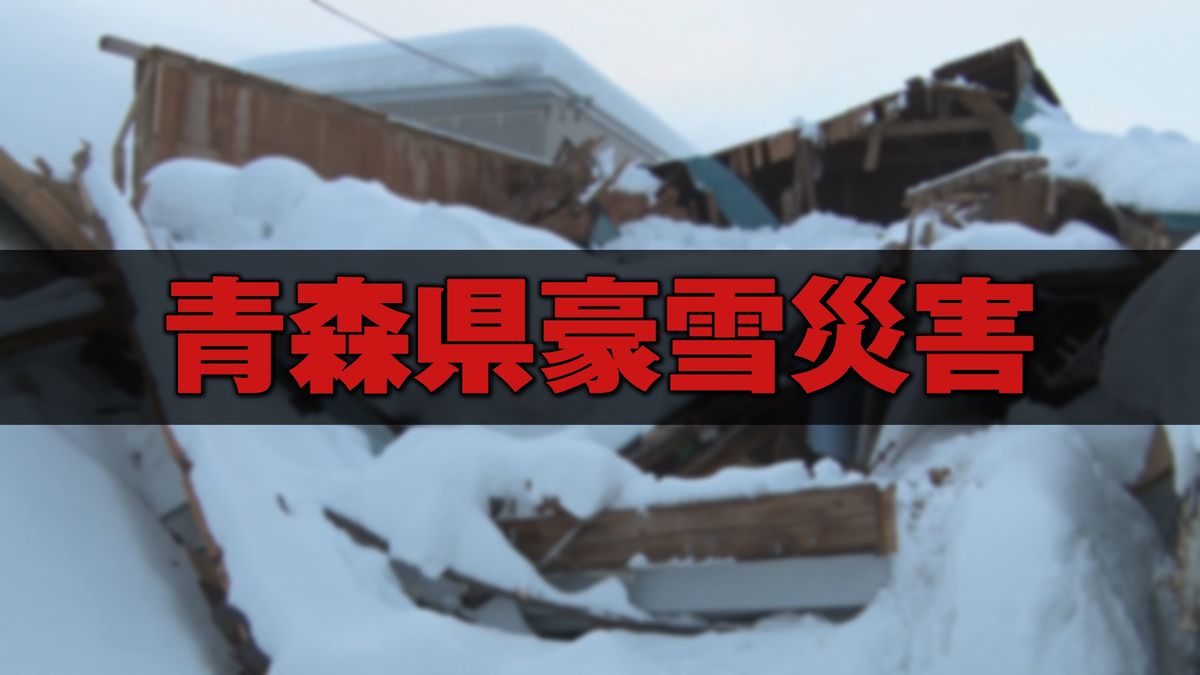 【青森県豪雪災害まとめ】死傷者175人・農林水産被害額2億円を超える・建物被害459件・学校施設や文化財も（6日午後6時半更新）