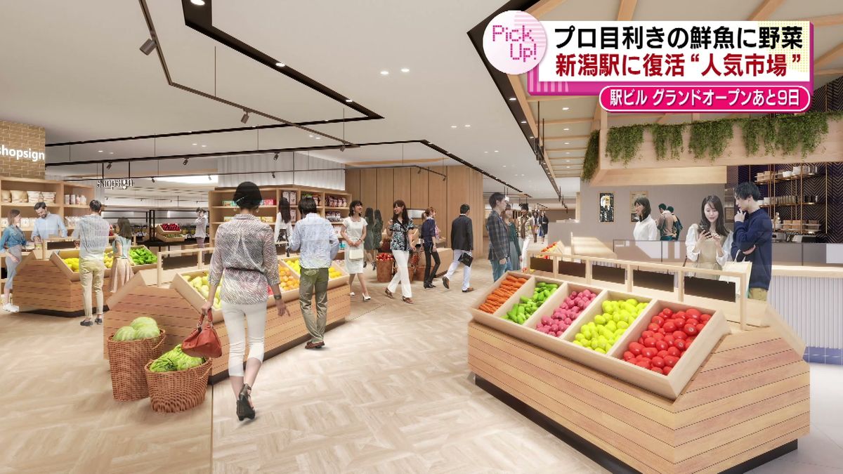 【特集】進化するJR新潟駅　まもなくグランドオープン　駅ビル1階に生鮮食料品など「食」に特化したフロアが誕生へ　《新潟》　