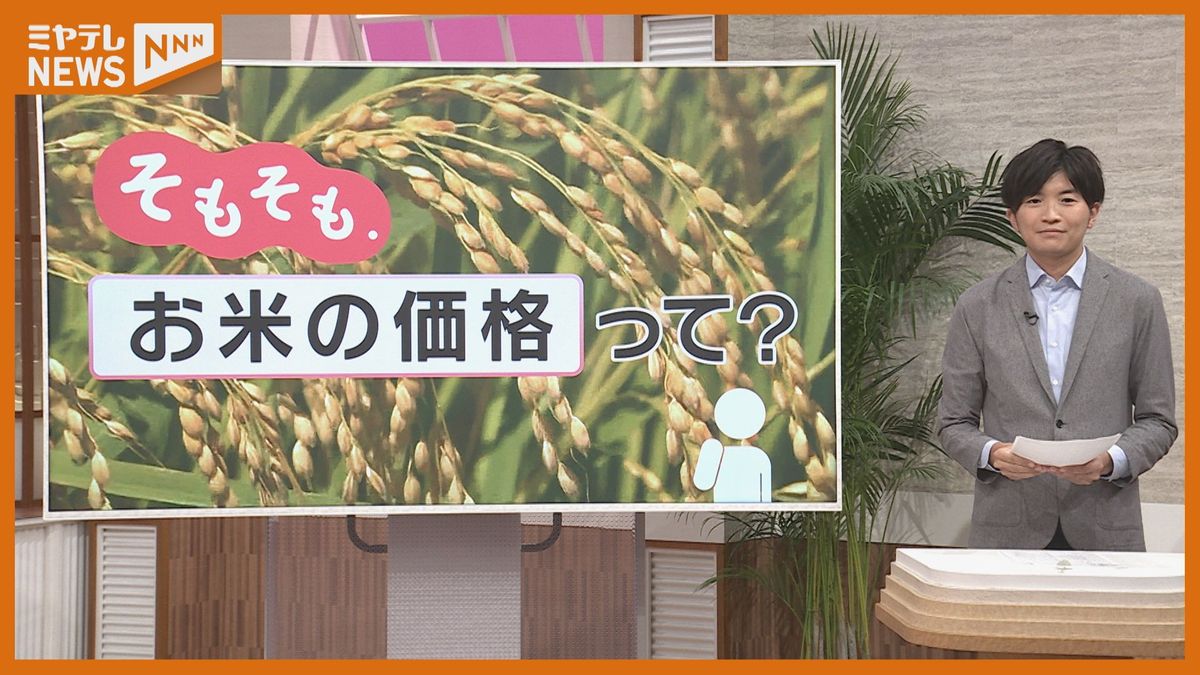 【そもそも.】「お米の価格」って？新米の美味しい味わい方も紹介！