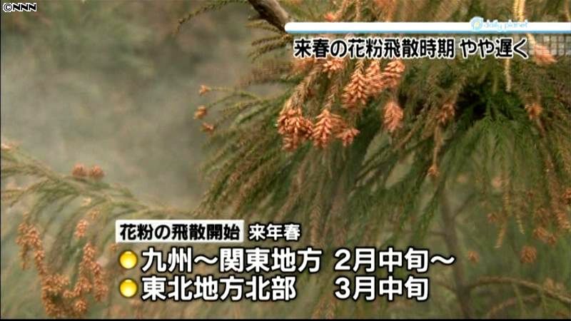 来春の花粉飛散、例年よりやや遅い見込み