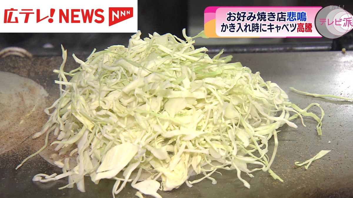 GWでかき入れ時なのに…　キャベツ価格が高騰　広島のお好み焼き店悲鳴　