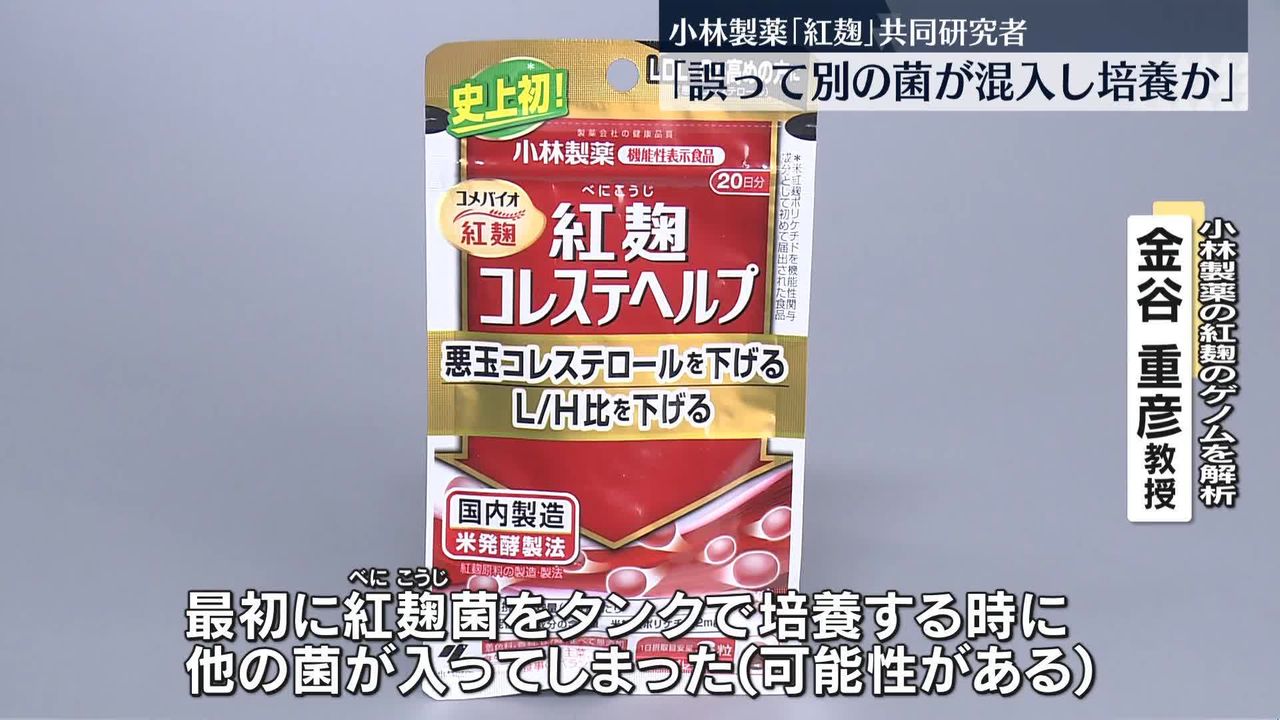 紅麹の共同研究者“別の菌が混入し人体に影響を与えた可能性” 小林製薬「紅麹」問題｜日テレNEWS NNN