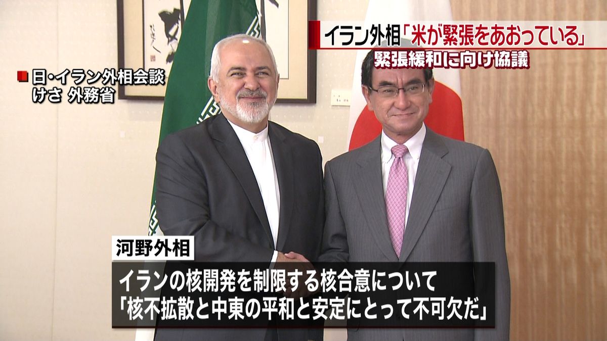 河野外相、イラン外相と緊張緩和に向け協議