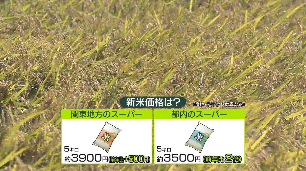 新米出荷が本格化も…価格は高騰　品薄解消へ今後の見通しは？