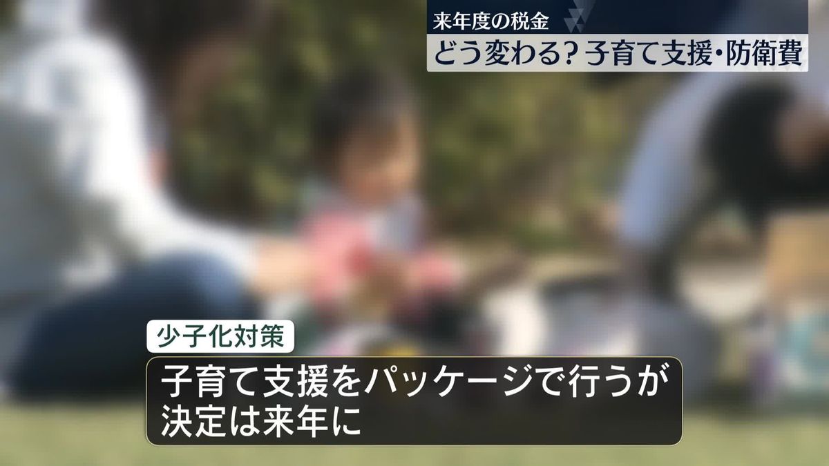 来年度の「税制改正大綱」決定　どう変わる？ 子育て支援・防衛費 