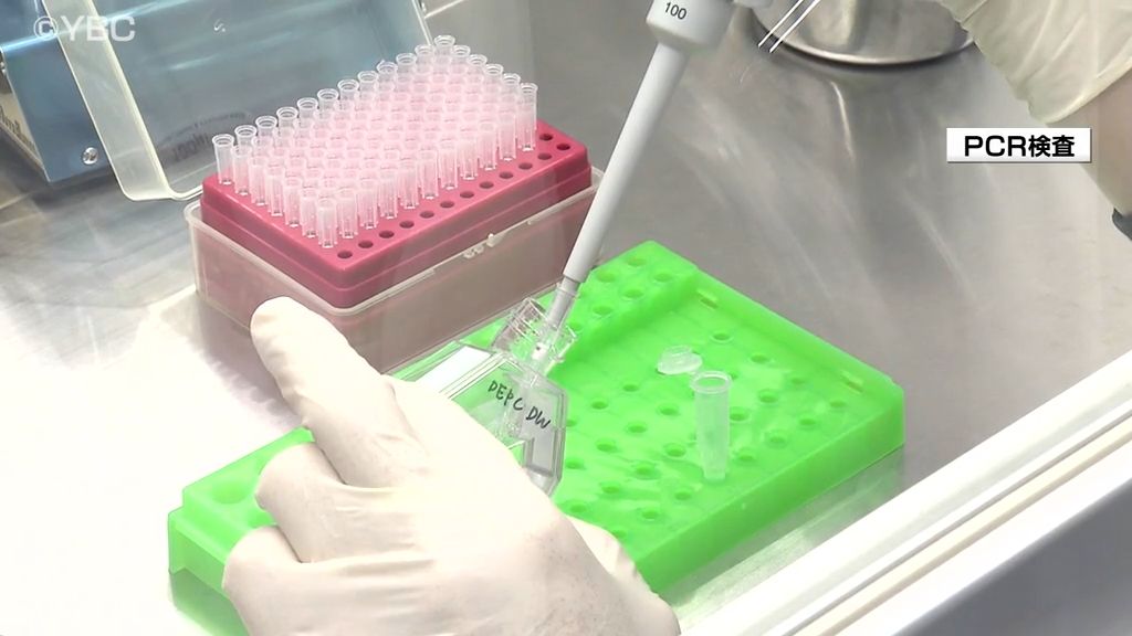山形県内　インフルエンザの警報21週ぶりに解除　新型コロナ感染者数も減少
