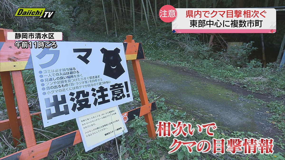 “クマ出没状況” の実態は？… 相次ぐ目撃情報に県の担当者は「クマではなかった事例も…見つけた場合は近づかず自治体や警察に連絡を」（静岡県）