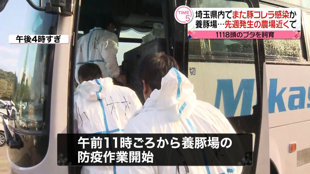 埼玉県で豚コレラ感染またか　秩父市に続き