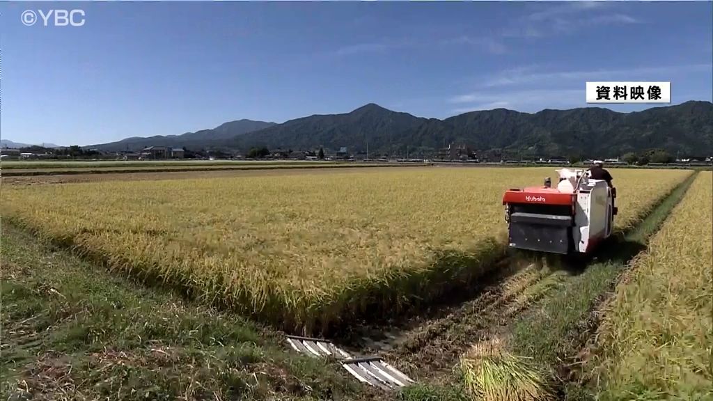 猛暑の影響で米価が上昇　山形県産米も前年比１割上昇