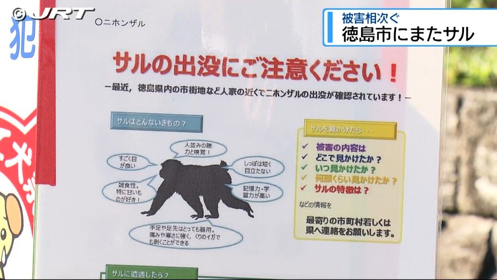 徳島市八万町でランニング中の男性が猿に襲われる　周辺で相次ぐ被害に県は注意を呼びかけ【徳島】