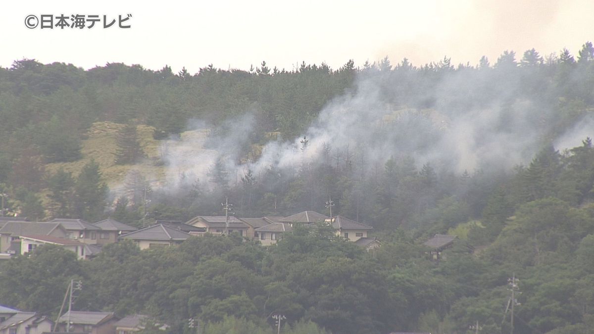 「火や煙が見える」「木が燃えている」　小学校裏の林で火事　けが人なし　鳥取県鳥取市