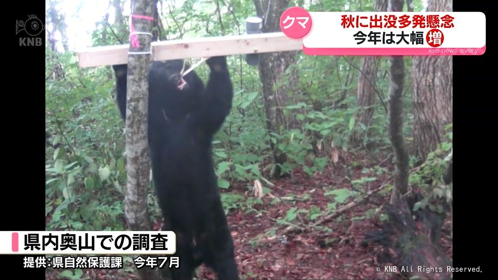 秋はクマ出没多発懸念　被害防止対策を確認