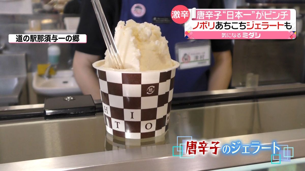 町全体で「唐辛子」推し“生産量日本一”栃木・大田原市　ラーメンにジェラートも…