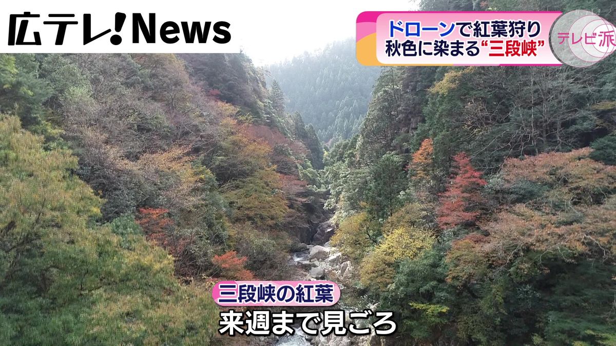ドローンで「紅葉狩り」　秋色に染まる三段峡　広島県安芸太田町
