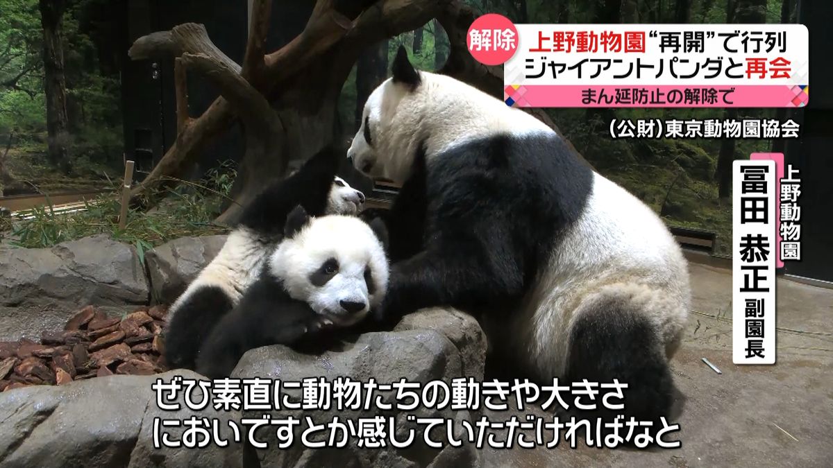 “まん延防止”解除でにぎわい　「パンダに会えた！」上野動物園も営業再開