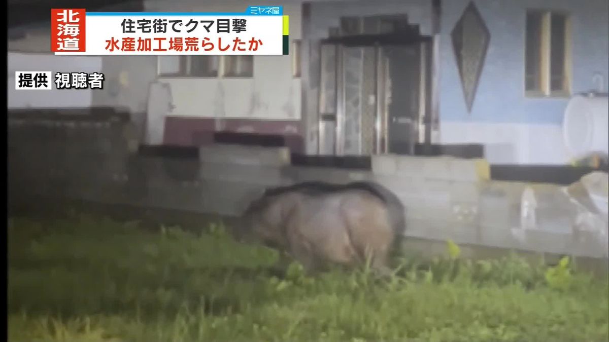 住宅街でクマ目撃　水産加工場でゴミ箱荒らしたか　北海道・枝幸町
