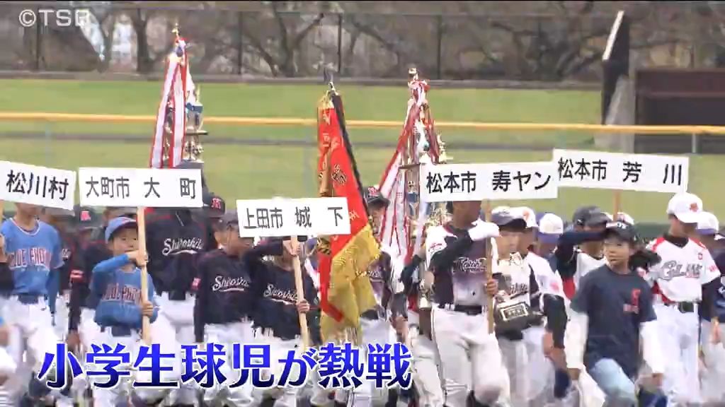 小学生球児が熱戦…セキスイハイム杯兼テレビ信州旗争奪学童軟式野球大会に県内33チーム【長野・松本市】