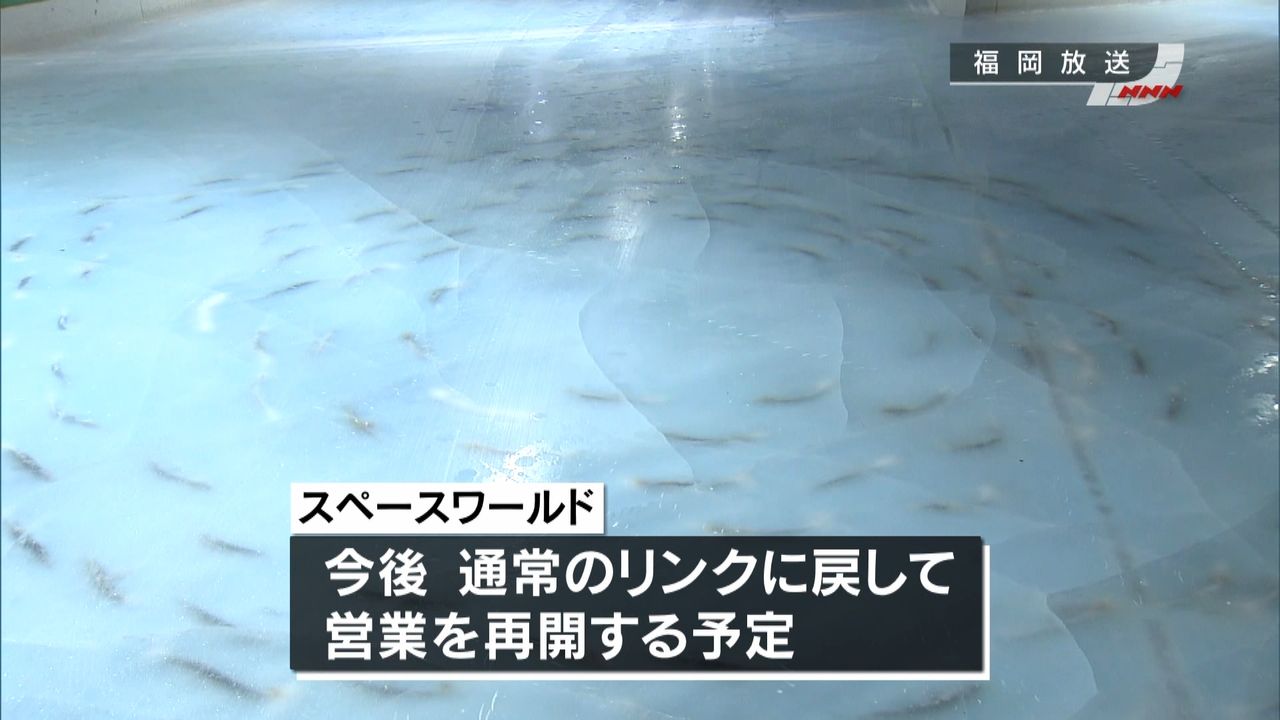 氷漬けにした魚のスケートリンク、閉鎖（2016年11月27日掲載）｜日テレNEWS NNN